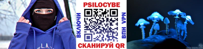Купить  Горнозаводск  Галлюциногенные грибы Psilocybine cubensis 
